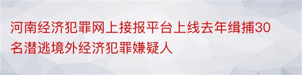河南经济犯罪网上接报平台上线去年缉捕30名潜逃境外经济犯罪嫌疑人